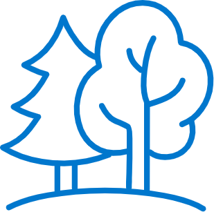 Forest products